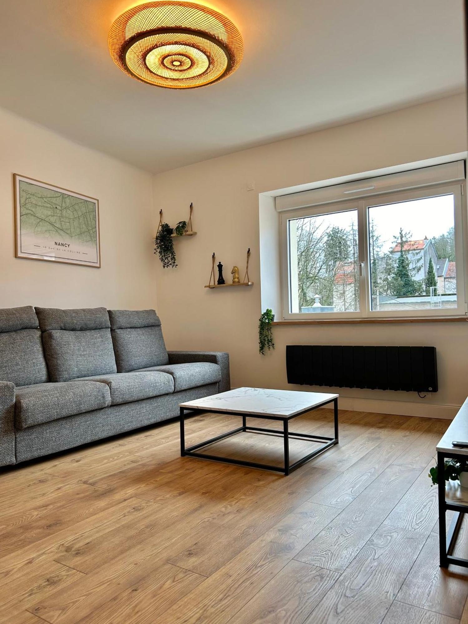 Le Chardon- Appartement 2Chambres- Avec Stationnement Нанси Экстерьер фото